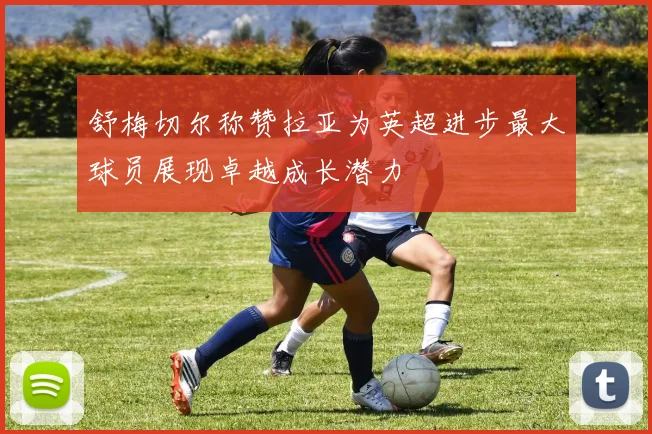 舒梅切尔称赞拉亚为英超进步最大球员展现卓越成长潜力