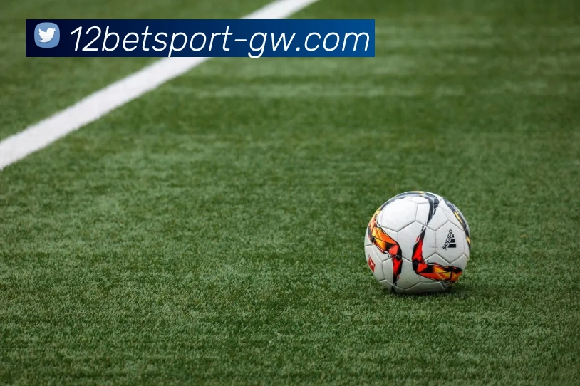 App Interface Preview