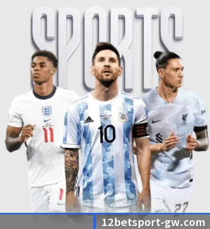 本站五个常用功能入口,赛程查询路径更短 - 12bet