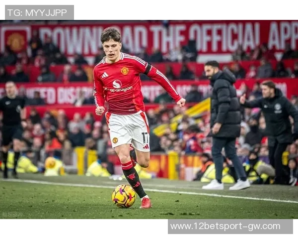 约克称舍什科潜力更大视为霍伊伦的升级版